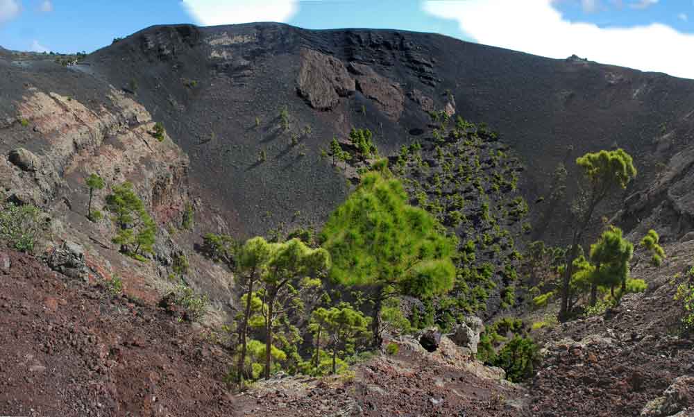 42 - La Palma, volcan San Antonio
